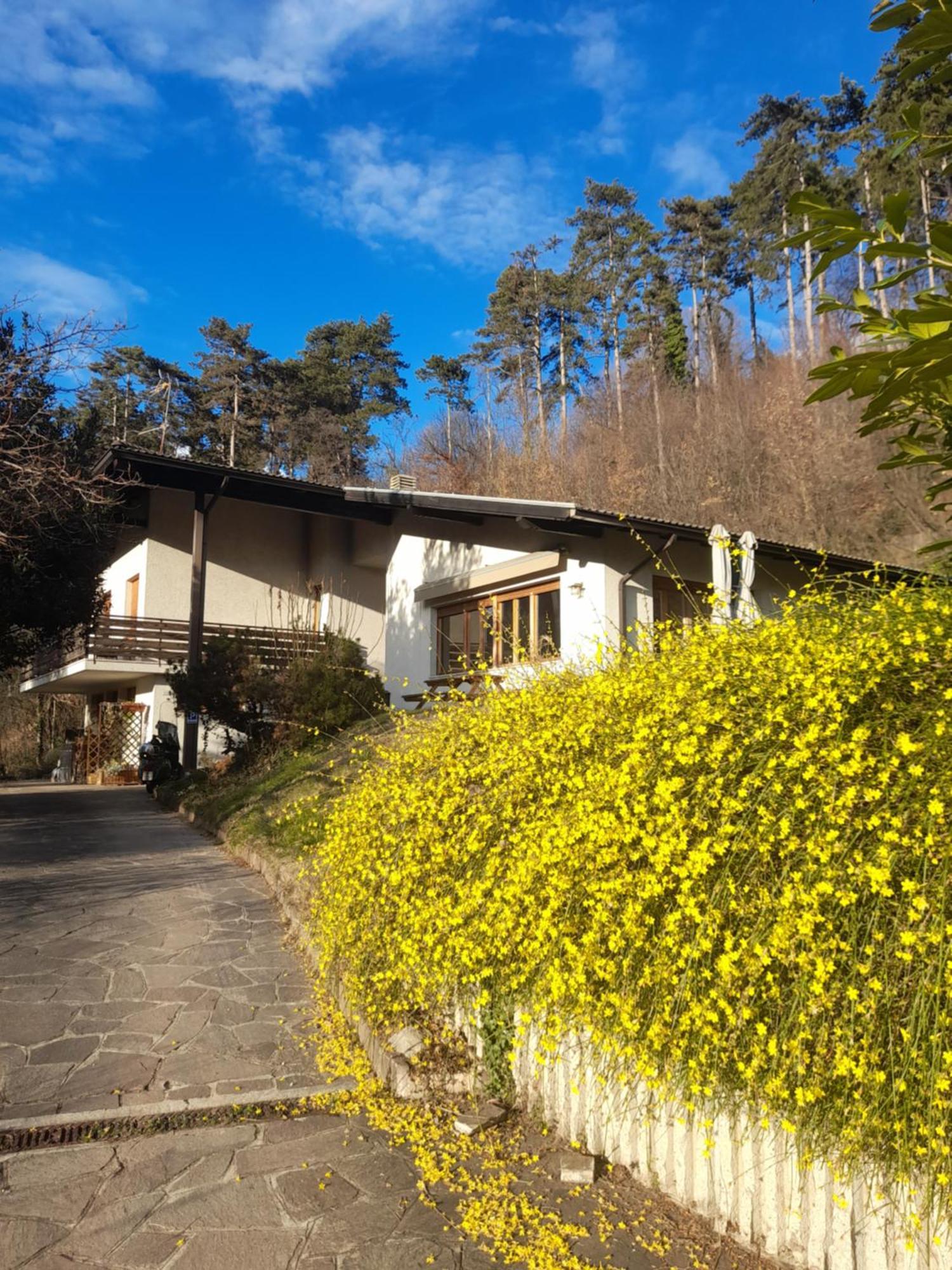 Marzola Bed & Breakfast Trento Bagian luar foto